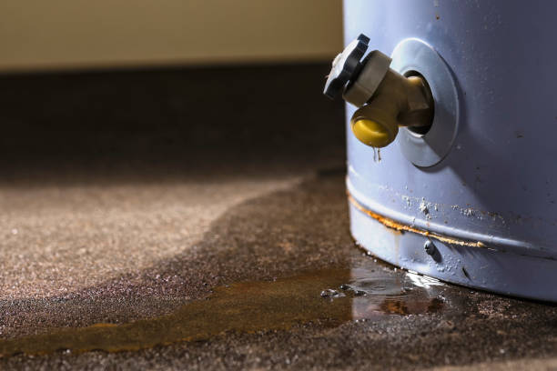 Best Fire Damage Restoration  in Merian, ID