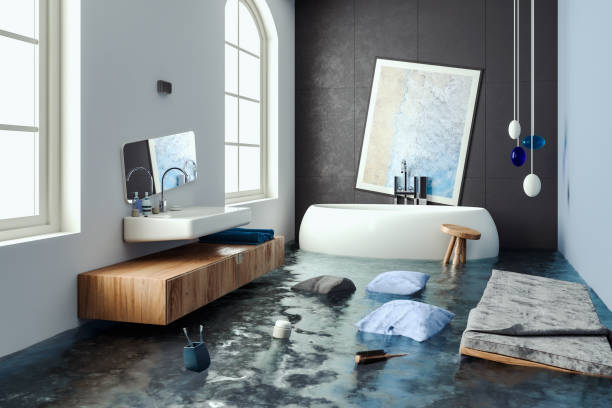 Best Professional water damage repair  in Merian, ID