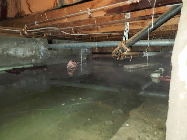Reliable Meridian, ID Water damage restoration Solutions