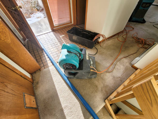 Best Professional water damage repair  in Merian, ID