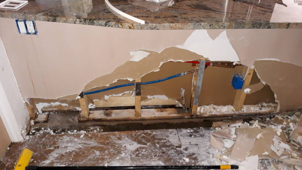  Merian, ID Water damage restoration Pros
