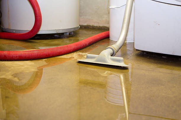 Best Flood damage cleanup  in Merian, ID