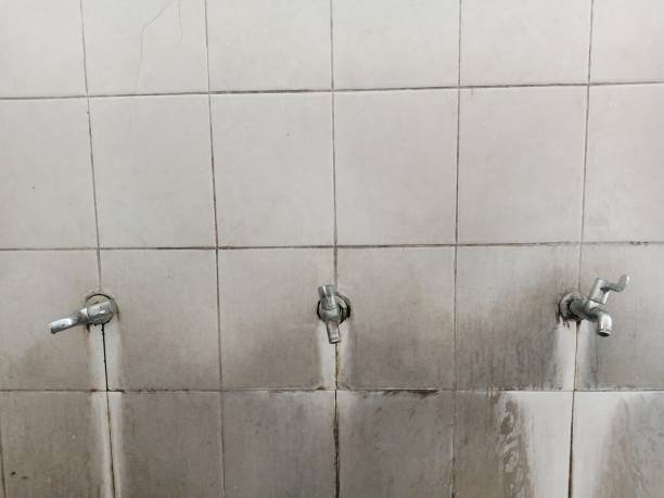 Best Water damage contractors near me  in Merian, ID