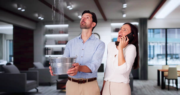 Water damage restoration mold remediation in Meridian, ID